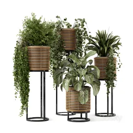 Indoor plants in natural rattan pot on metal base